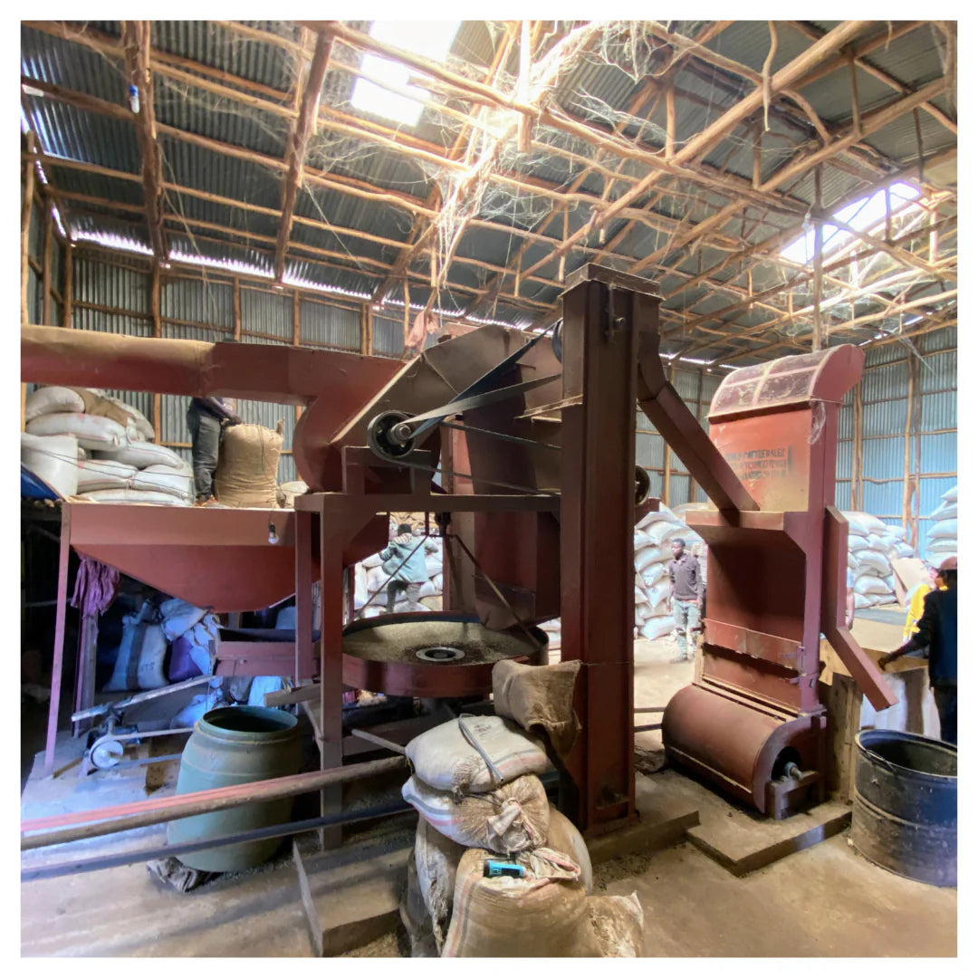 Ethiopia Sidamo Bensa