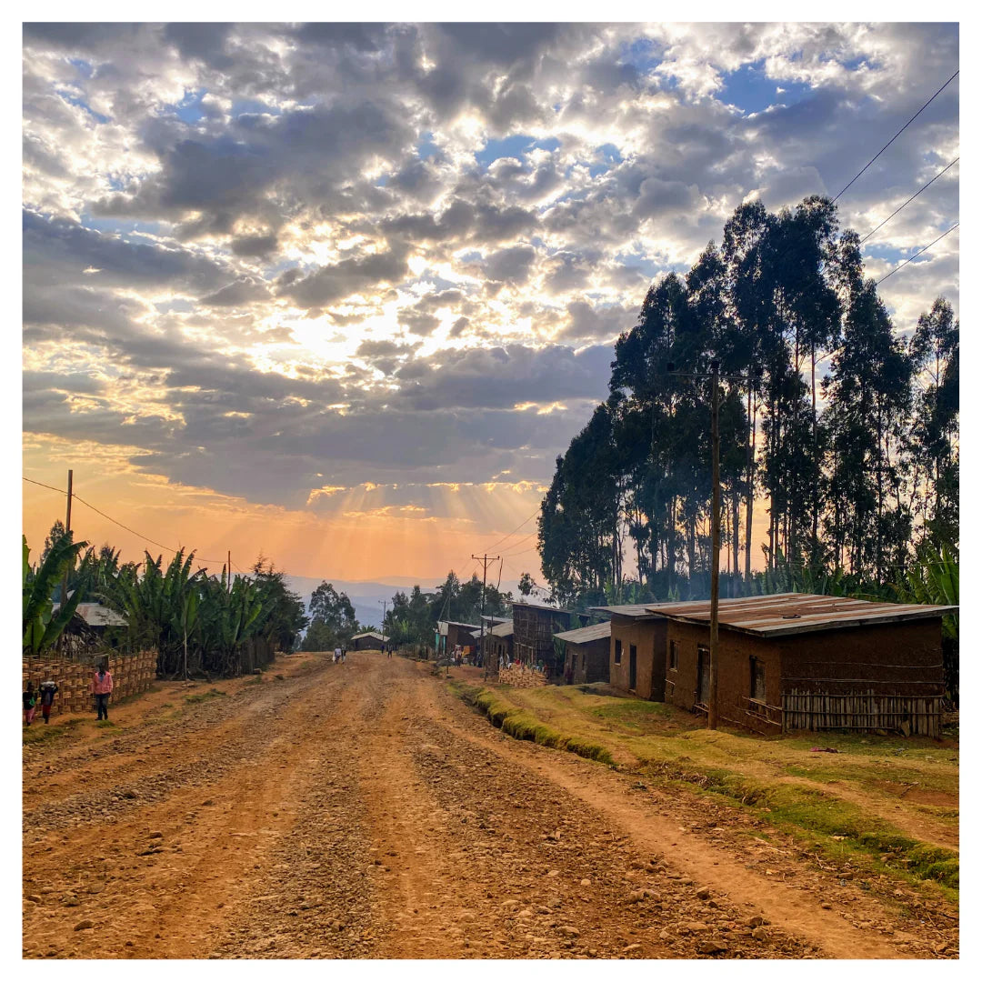 Ethiopia Sidamo Bensa
