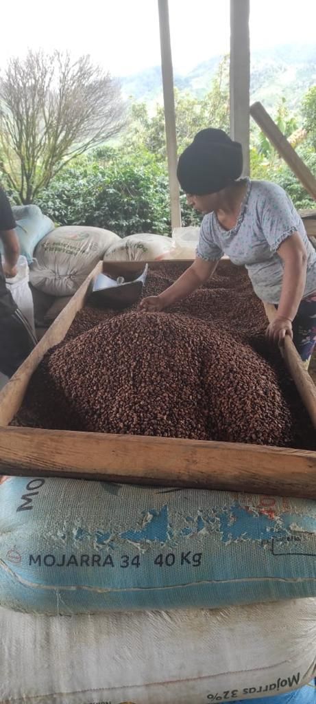 Colombia Huila El Placer