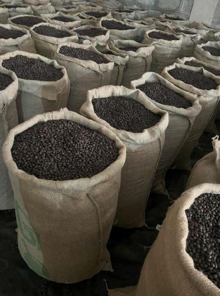 Ethiopia Guji Hambela G2