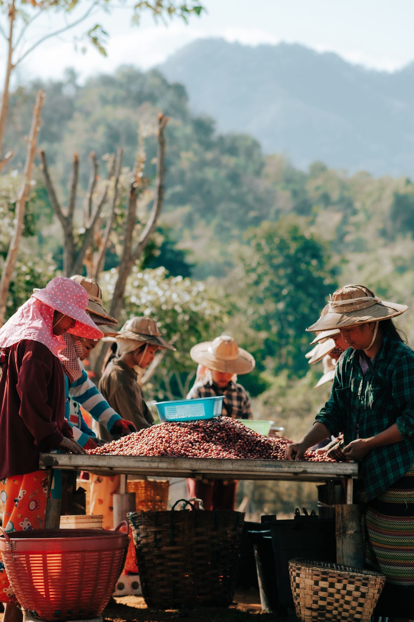 Myanmar Shan State YwaNgan