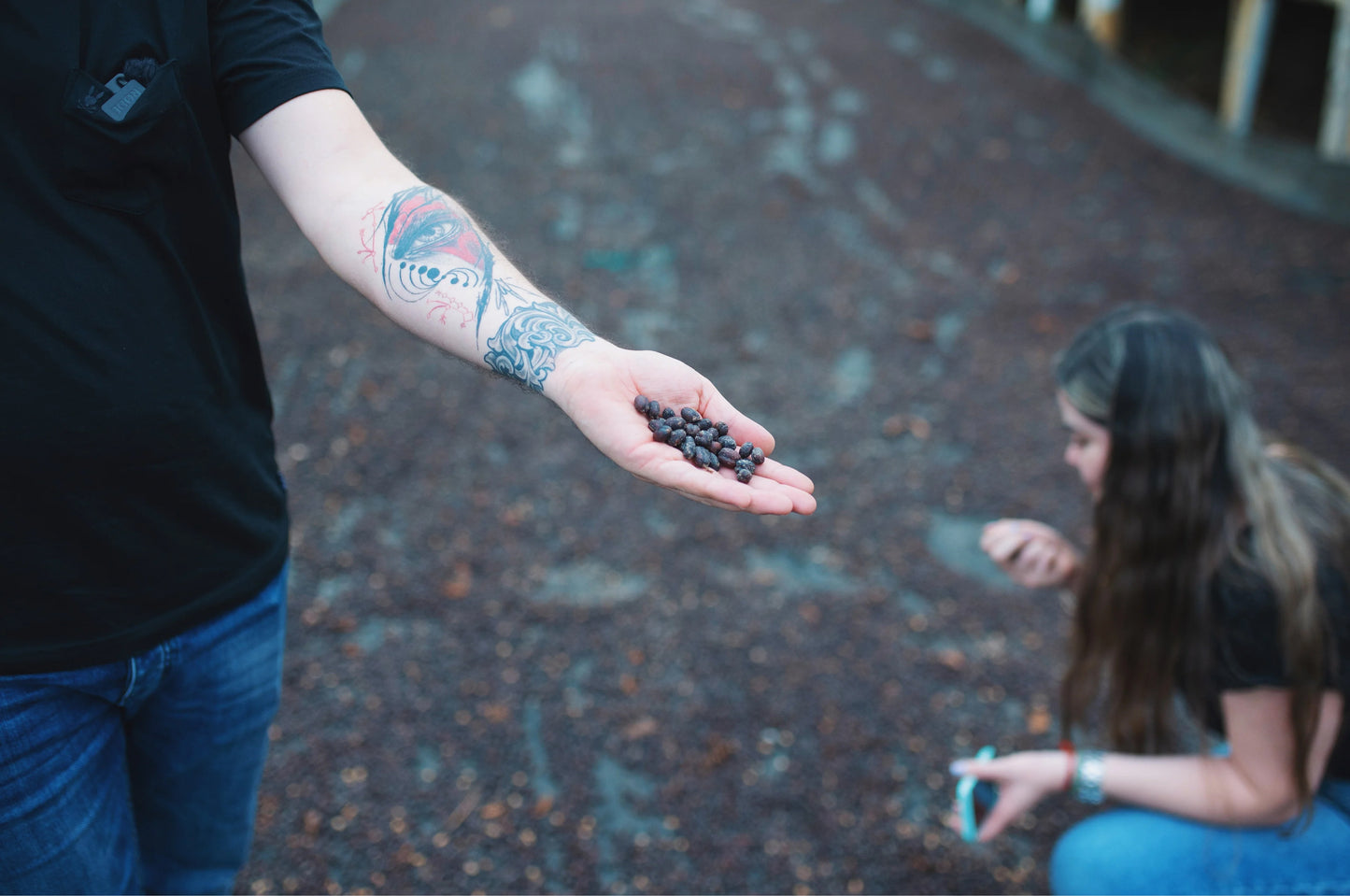 Colombia Risaralda Milan Toffee