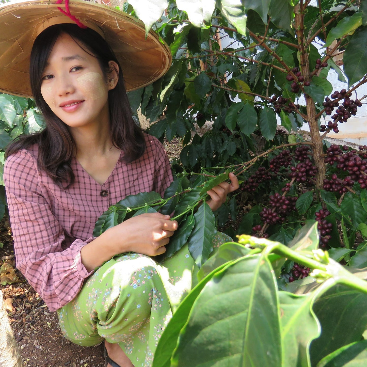 Myanmar South Shan