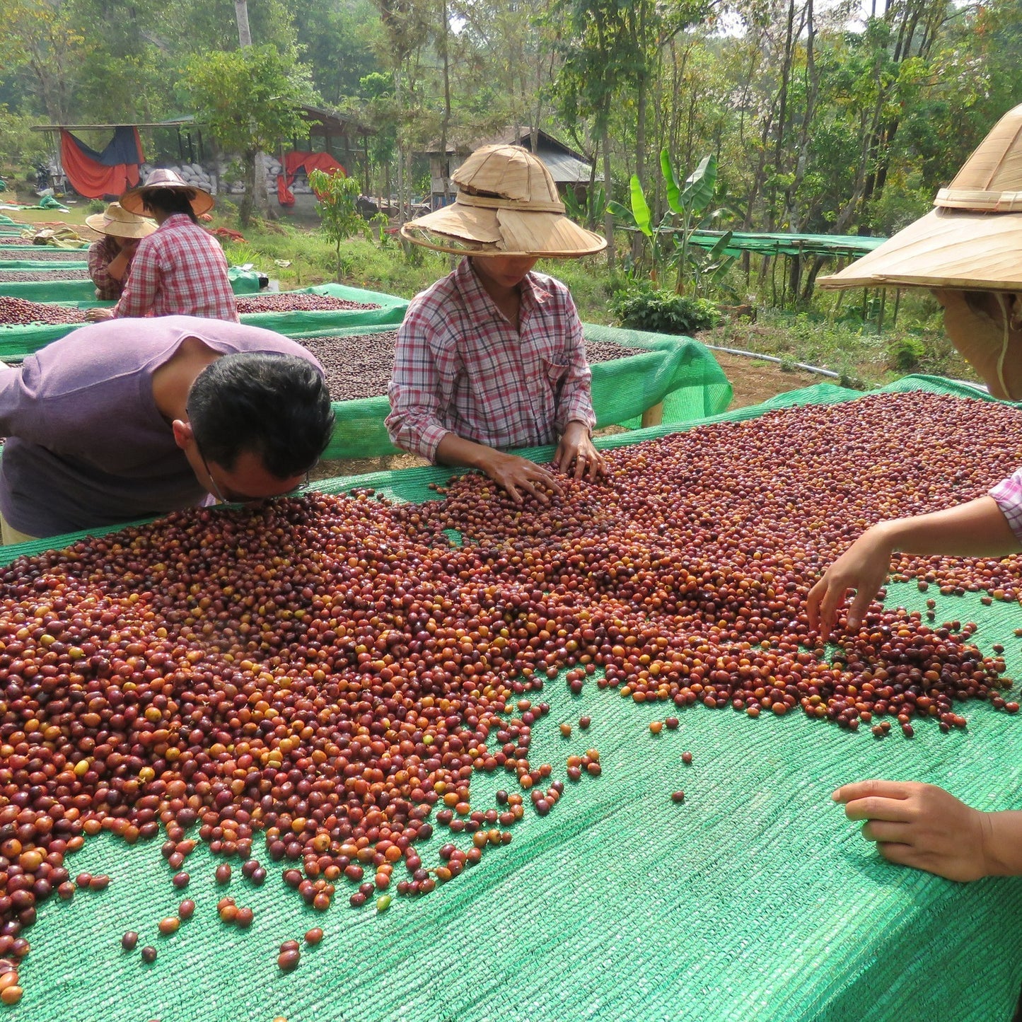 Myanmar South Shan