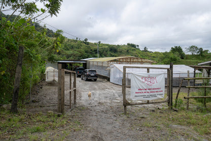 South Cotabato T'Boli