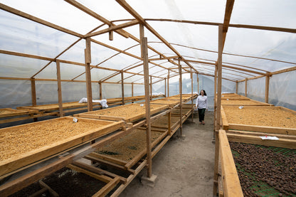 South Cotabato T'Boli