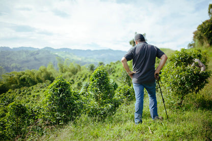 Colombia Risaralda Milan Toffee