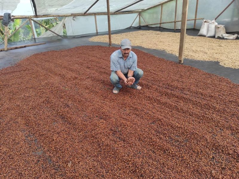 Colombia Huila El Placer