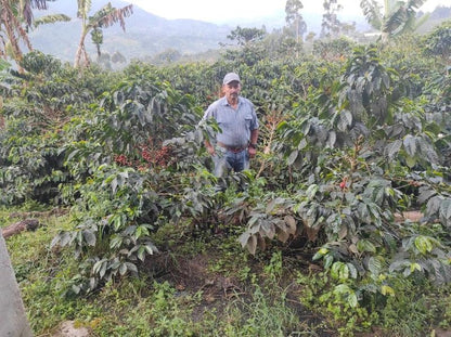 Colombia Huila El Placer