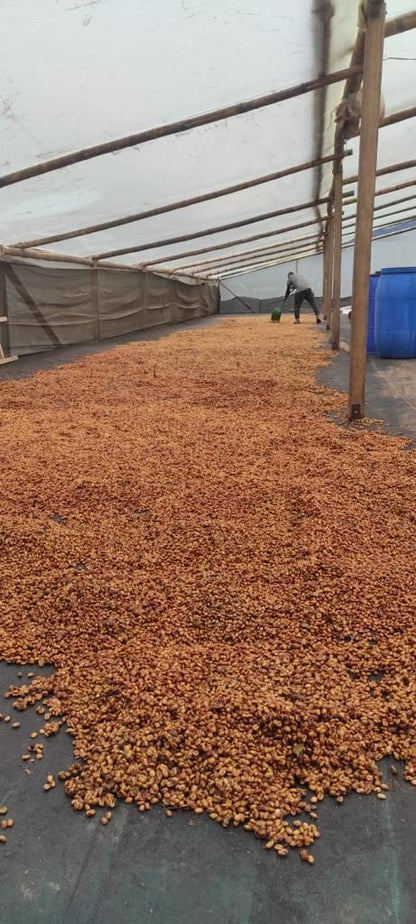 Colombia Huila El Placer