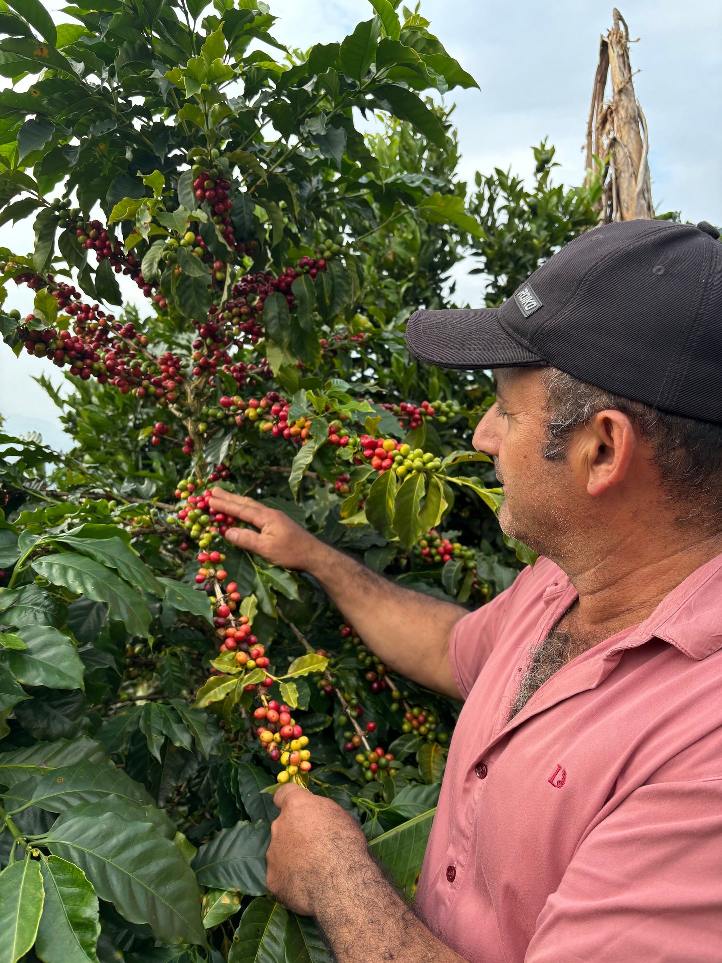 Colombia Huila El Recreo