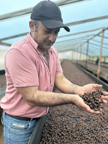 Colombia Huila El Recreo