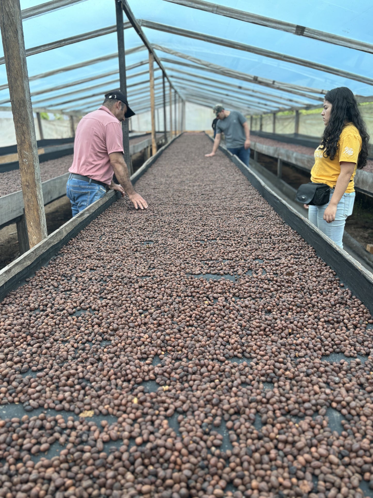 Colombia Huila El Recreo