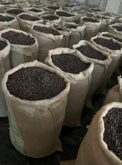 Ethiopia Guji Hambela G2