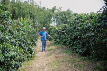 Colombia Risaralda Milan Toffee