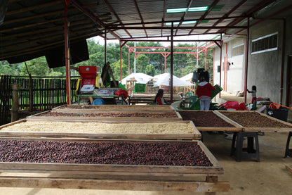 Bukidnon Sitio San Roque "Sweet"