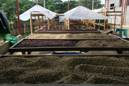Bukidnon Sitio San Roque "Sweet"