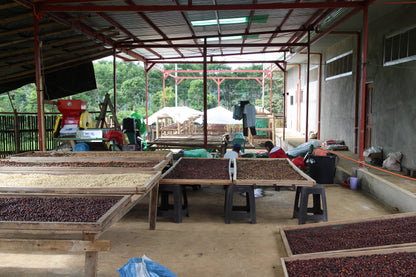 Bukidnon Sitio San Roque "Sweet"