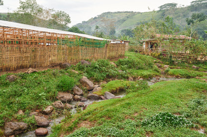 Bukidnon Sitio San Roque "Sweet"