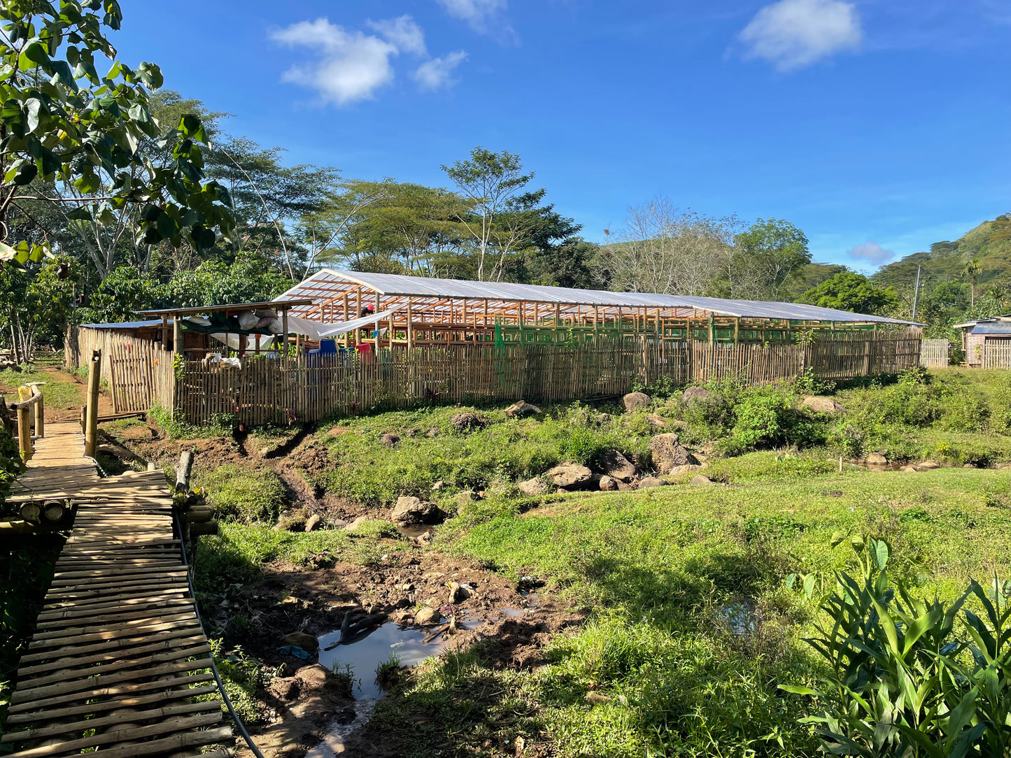 Bukidnon Sitio San Roque "Sweet"