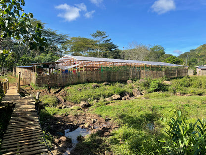 Bukidnon Sitio San Roque "Sweet"