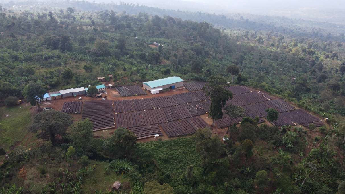 Ethiopia Yirgacheffe Banko Gotiti