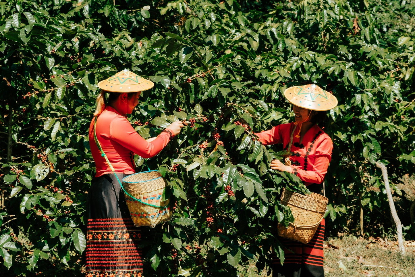 Myanmar Shan State YwaNgan