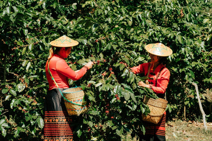 Myanmar Shan State YwaNgan