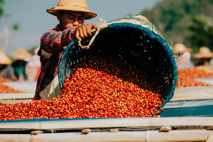 Myanmar Shan State YwaNgan