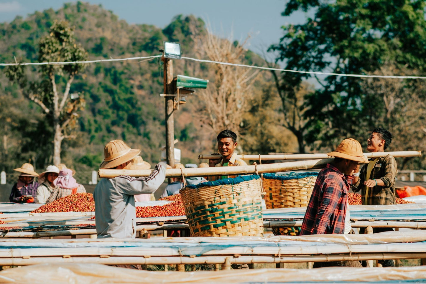 Myanmar Shan State YwaNgan