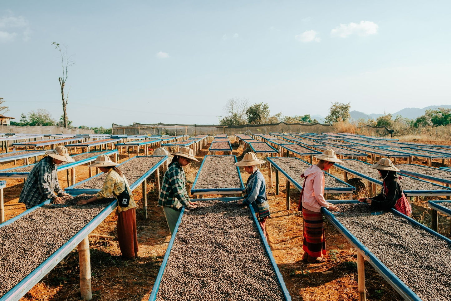 Myanmar Shan State YwaNgan