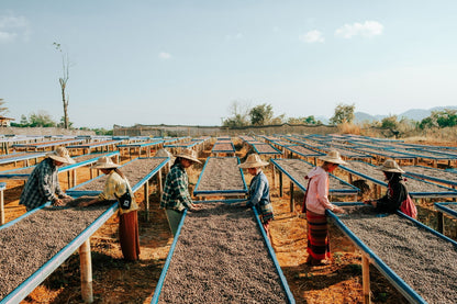 Myanmar Shan State YwaNgan