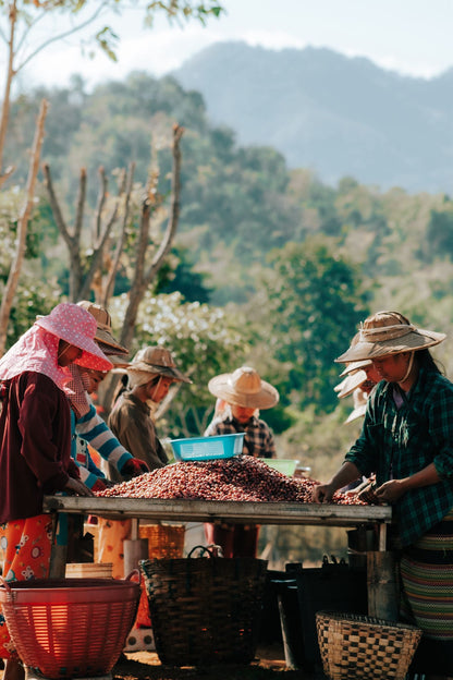 Myanmar Shan State YwaNgan
