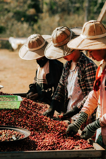 Myanmar Shan State YwaNgan