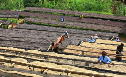 Rwanda Rutsiro Bugoyi Factory