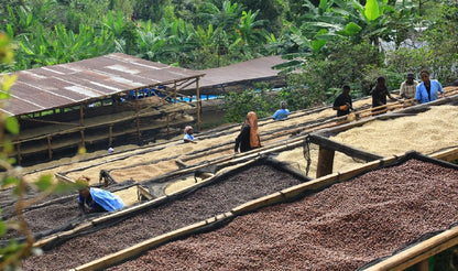 Rwanda Rutsiro Bugoyi Factory